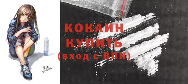 стафф Алексин