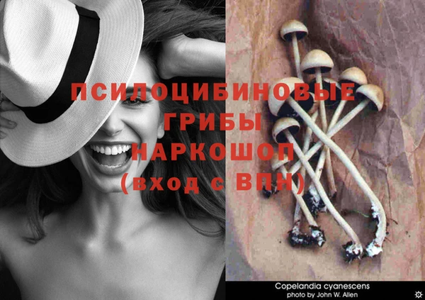 гидра Алзамай