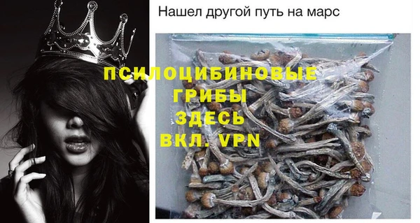 гидра Алзамай