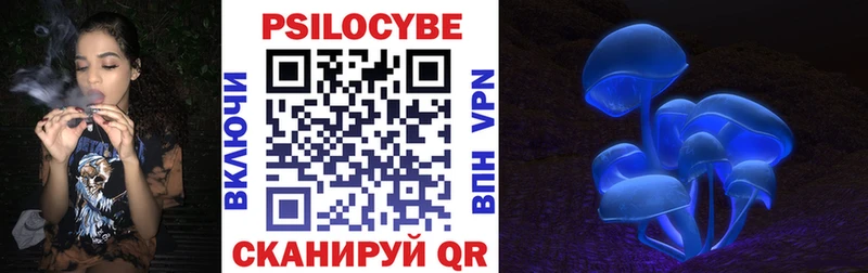 купить  цена  Кропоткин  Галлюциногенные грибы мицелий 