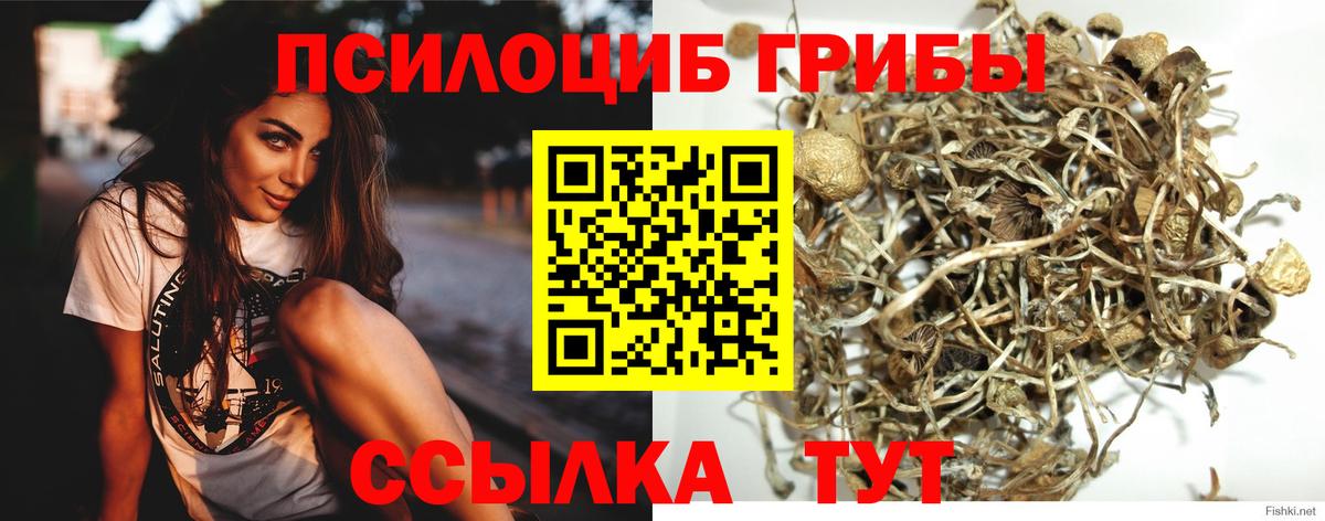 Кропоткин  Галлюциногенные грибы прущие грибы  Вход с VPN  Псилоцибиновые грибы мухоморы 