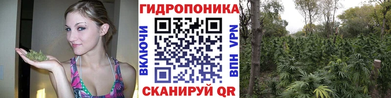 Марихуана сатива  купить  сайты  Кропоткин 